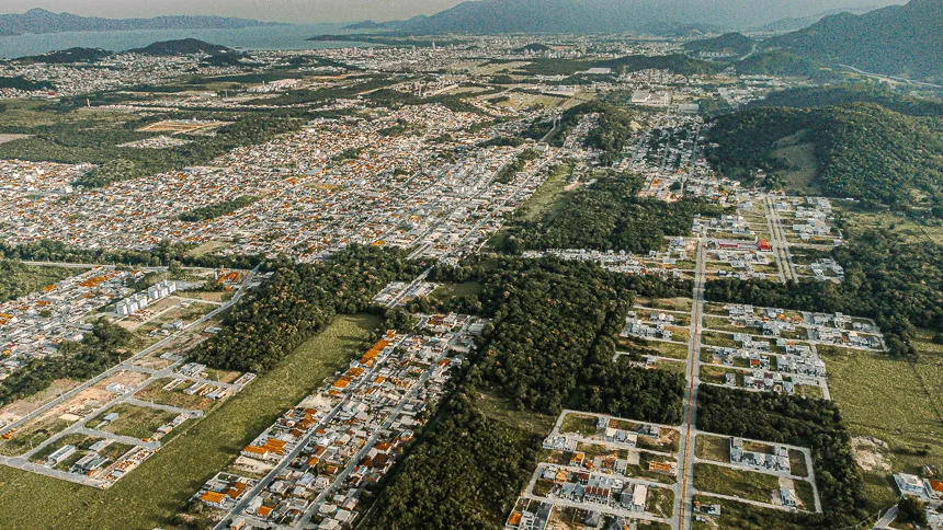 Plano Municipal de Arborização Urbana: São José fortalece áreas verdes na cidade