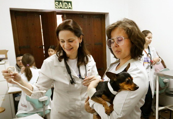 Veterinária da Ulbra oferece serviço gratuito de primeira para a comunidade: agradecimentos de tutores e pets