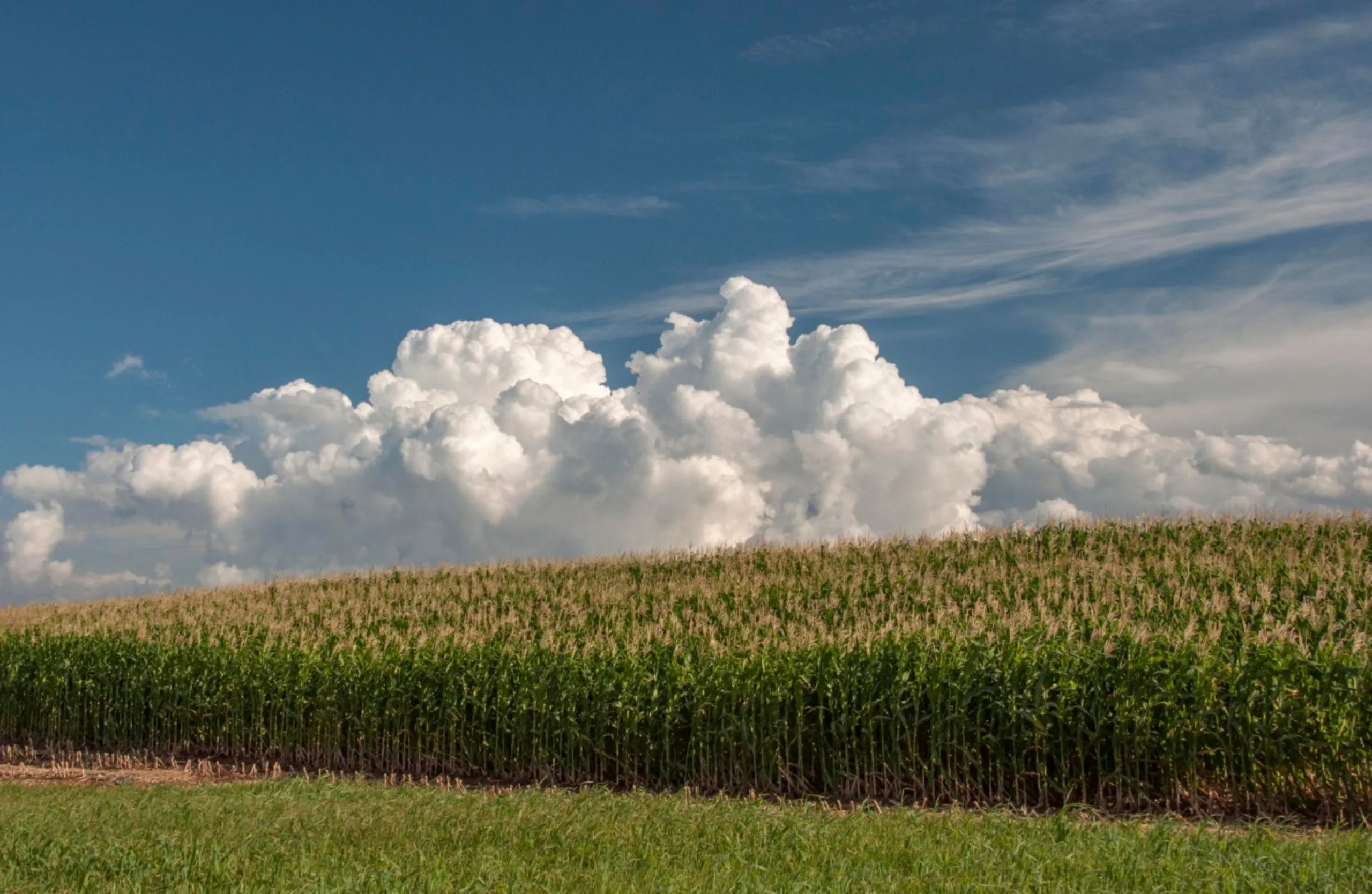 Chuva e Tempo Instável Marcam Fim de Semana no Rio Grande do Sul
